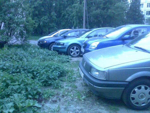 02062009309.jpg