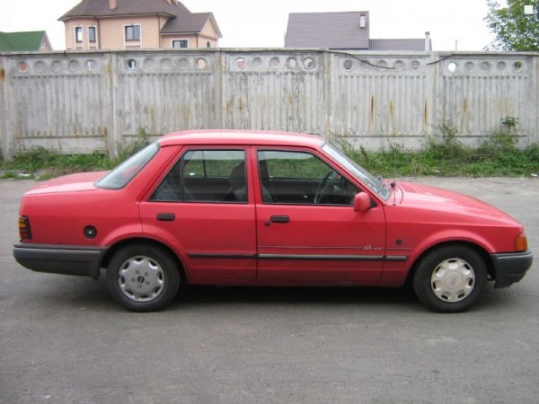 image5.jpg