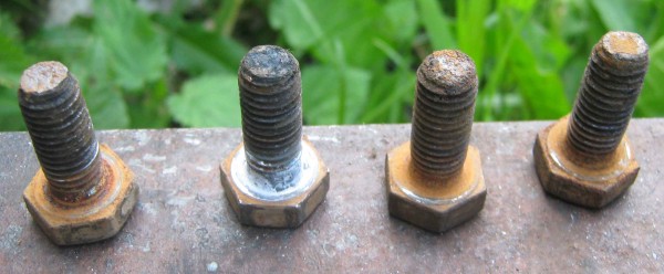 One_Year_Old_Bolts.jpg
