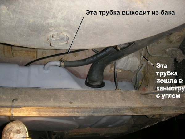 Копия PC114950.JPG