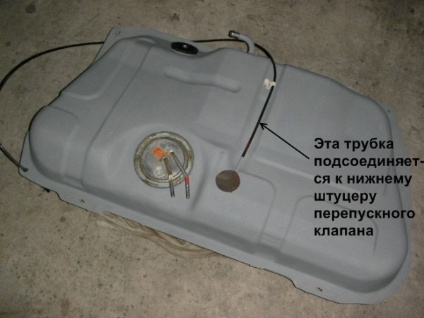 Копия PC104940.JPG