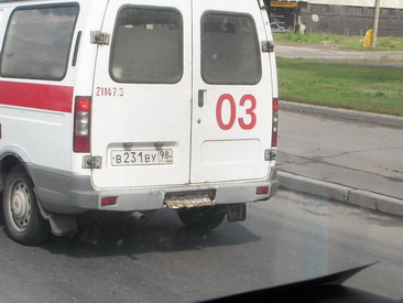 231.jpg