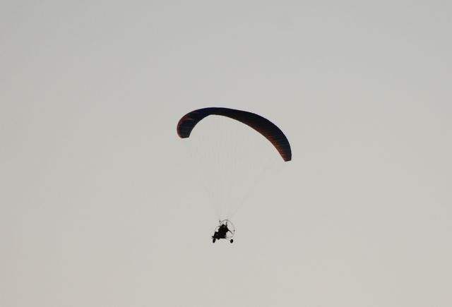 DSC_5403.jpg