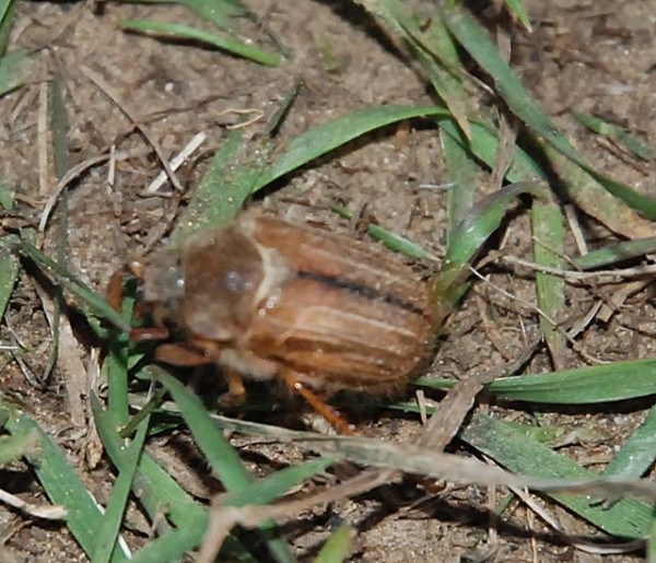 DSC_5433.jpg