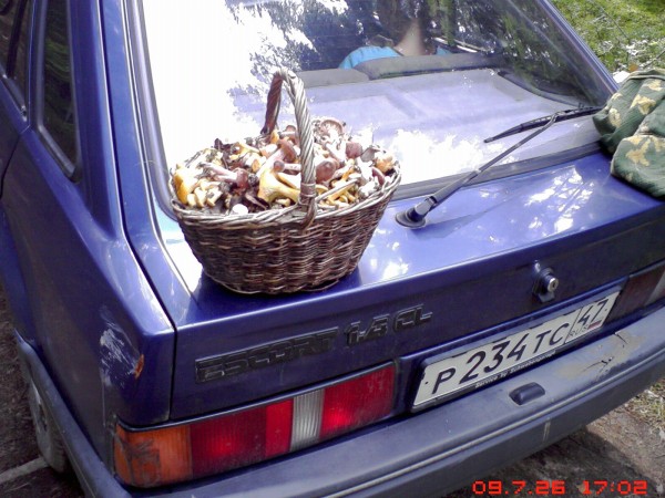 Photo_0007.jpg
