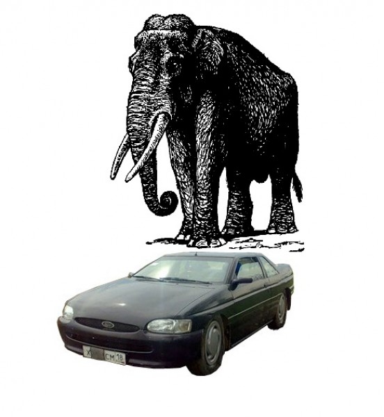 ford-sloning.jpeg