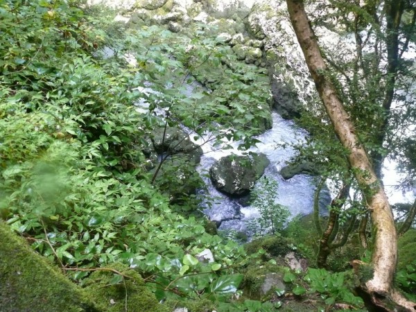 P1130470_800x600.JPG