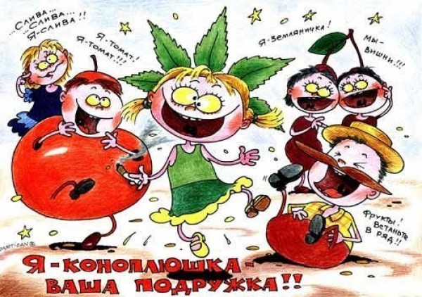 трава.jpg