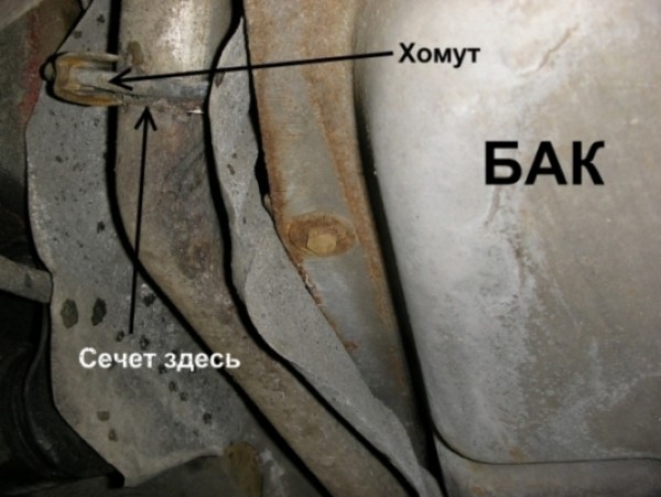 PB224880.JPG