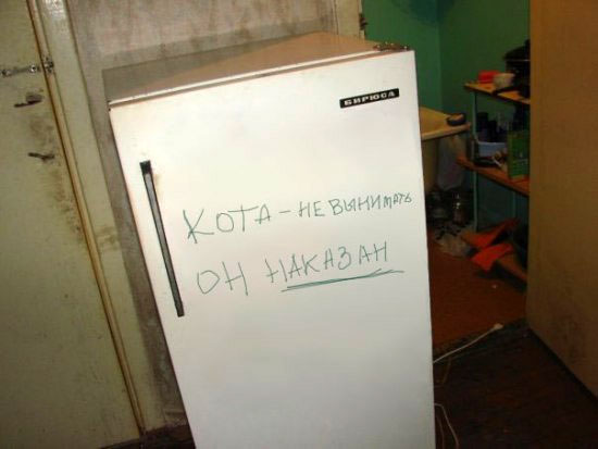 58d0e81de00b.jpg