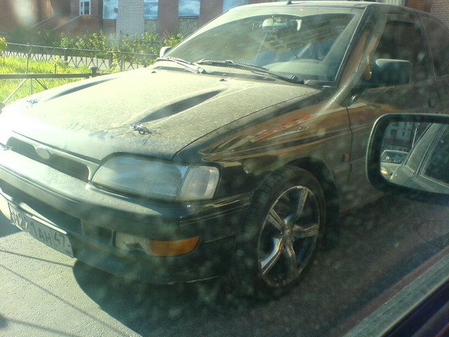 DSC00346.jpg