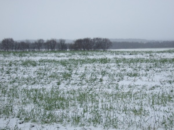 DSCF7405.jpg