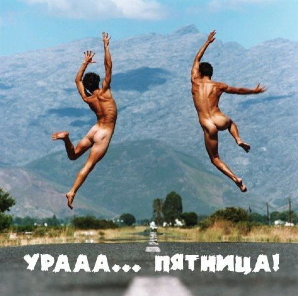 Пт.jpg