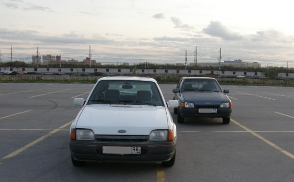 PA119225.JPG