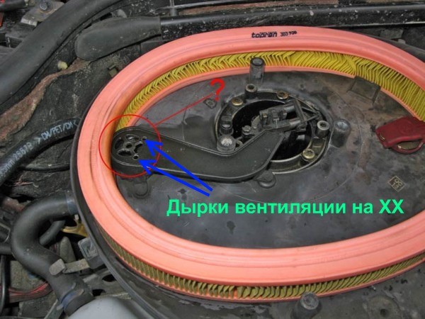 t_07_781.jpg
