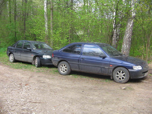 IMG_0707.jpg