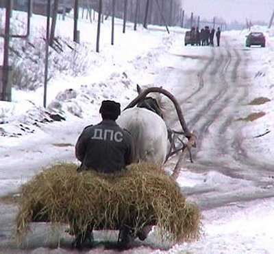 дпс.jpg