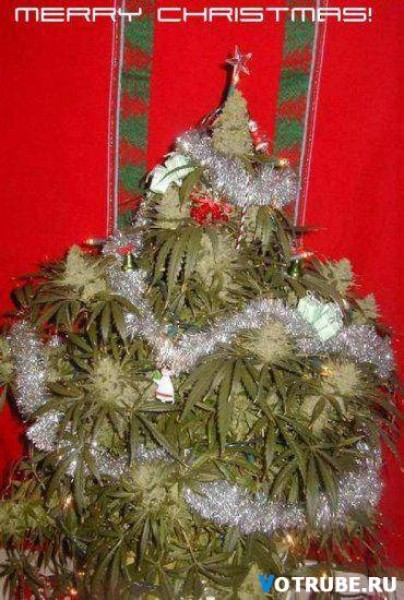 1262272071_novogodnie-prikoly-(www.votrube.ru)6.jpg