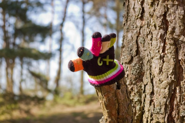 IMGP7282-boardupld.jpg