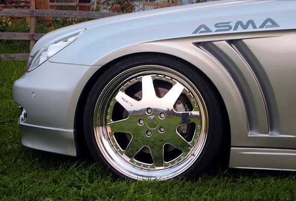 asma2.jpg