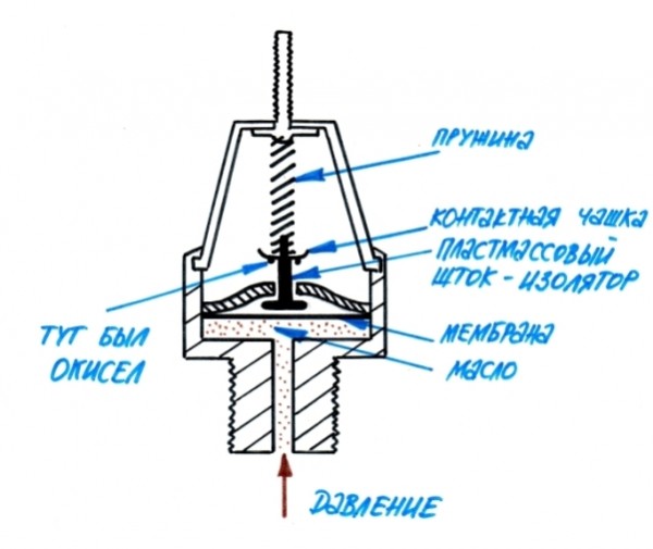 Копия ScanImage001.jpg