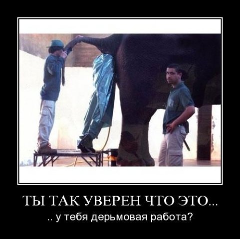 работа.jpg