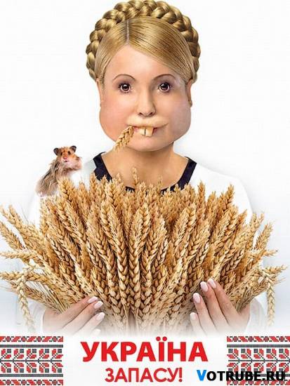 1264245806_fotozhaba-(www.votrube.ru)11.jpg