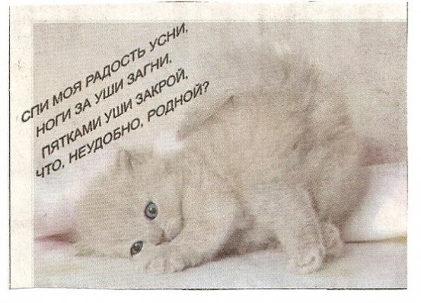x_f3d566c1.jpg