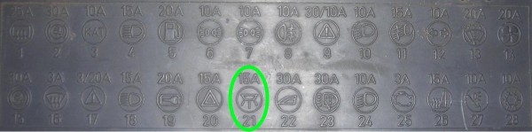 t______895.jpg