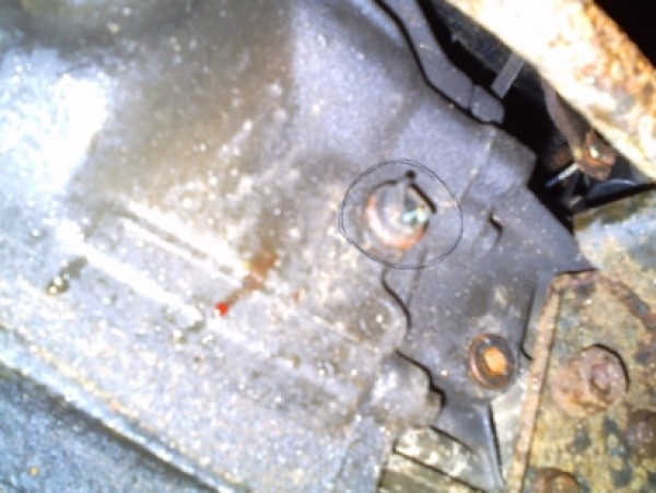 PICT000-0.JPG