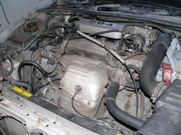 P1180357_800x600.JPG