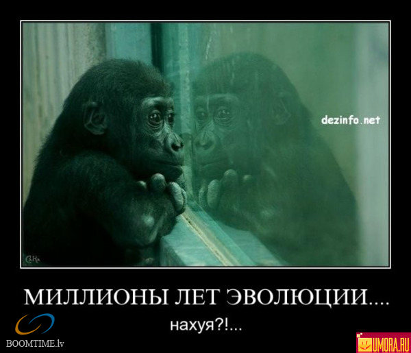 0a5ddb39623e.jpg