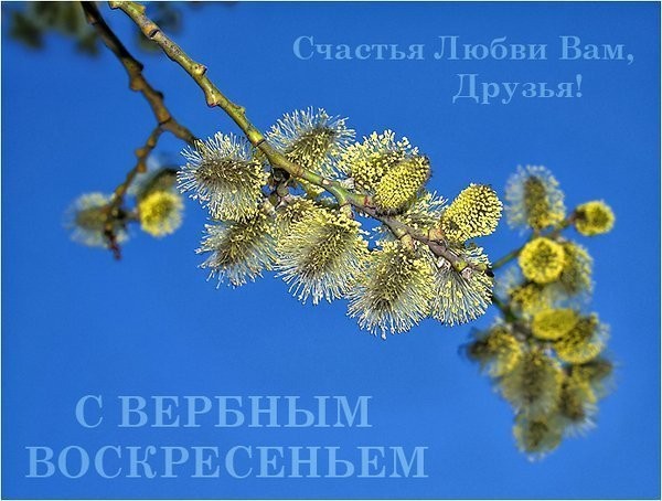 вв.jpg