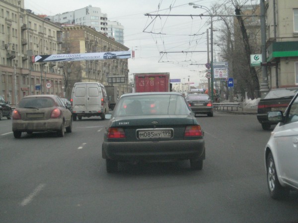 IMG_8447.jpg