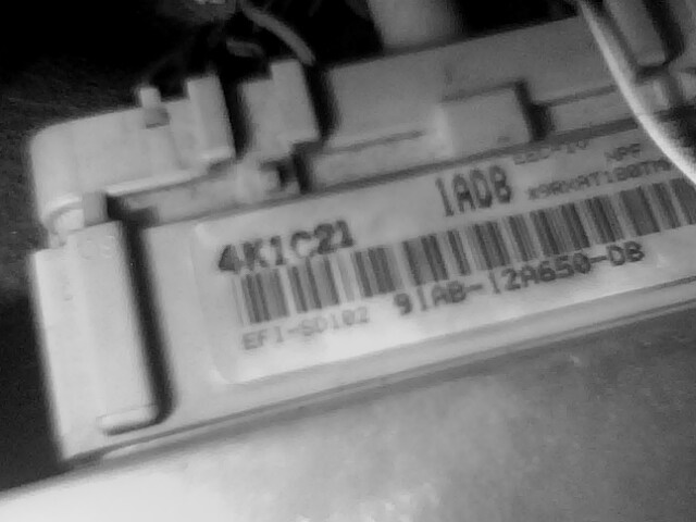 IMG0101A.jpg