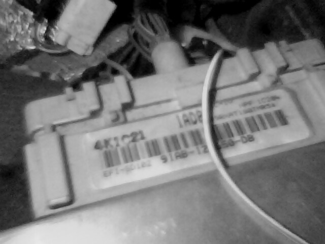 IMG0100A.jpg