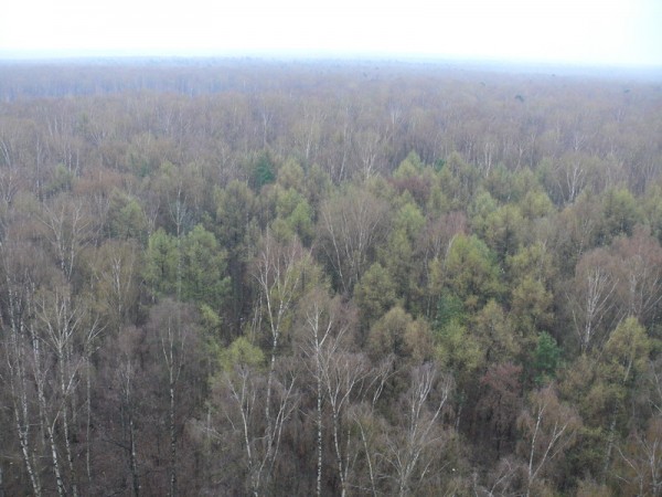 P1190280_800x600.jpg