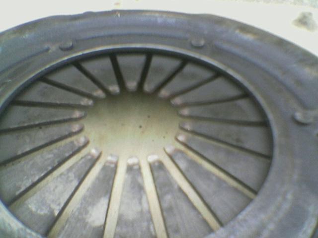 Image(07).jpg
