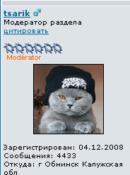 555.png