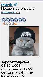 111.png