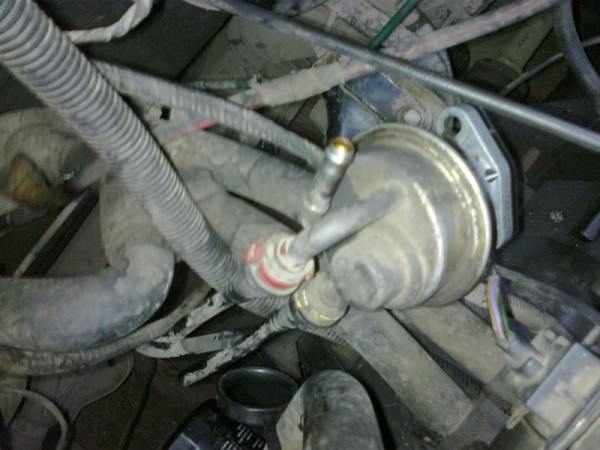 25052010124.jpg