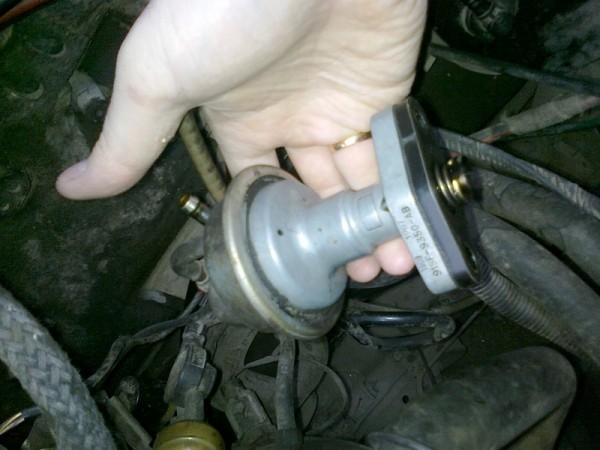 25052010123.jpg
