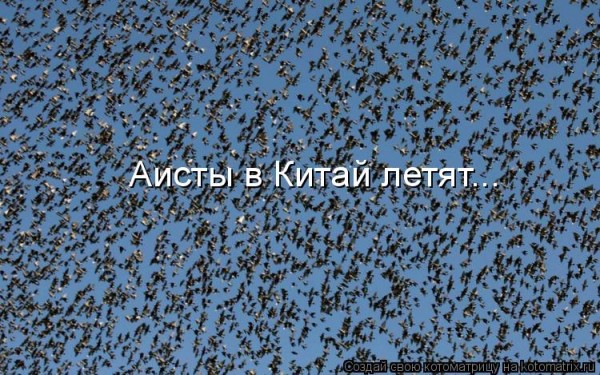 657903.jpg