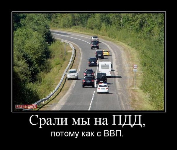7f809d823c44.jpg
