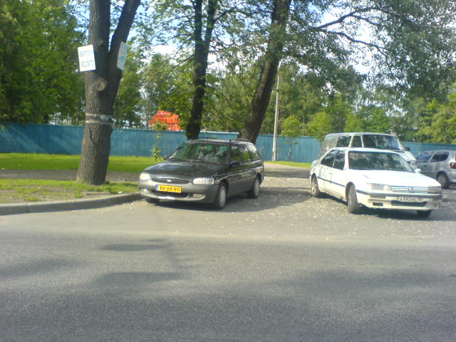 DSC00405.JPG