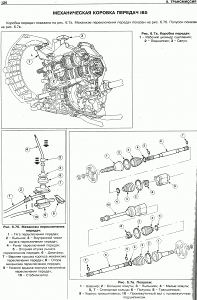 iB5_1.png