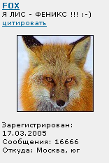 111.png