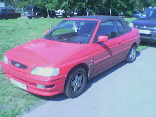 Image(19).jpg