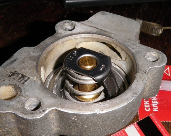 IMGP5012.jpg