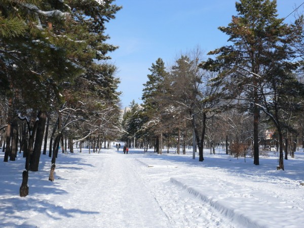 P1240262_800x600.JPG